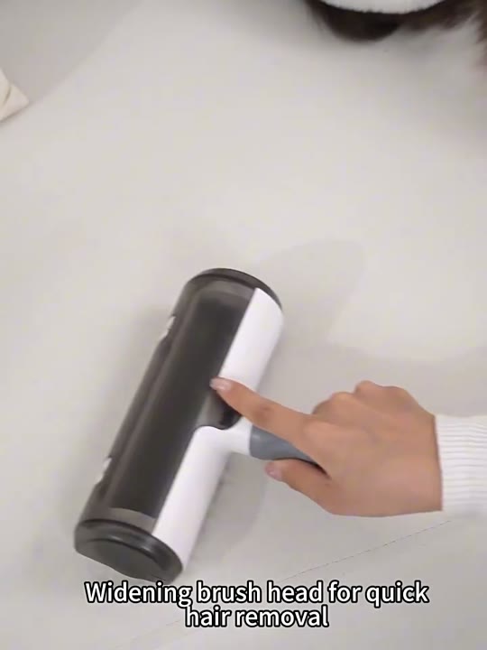 Washable Lint Roller, Reusable